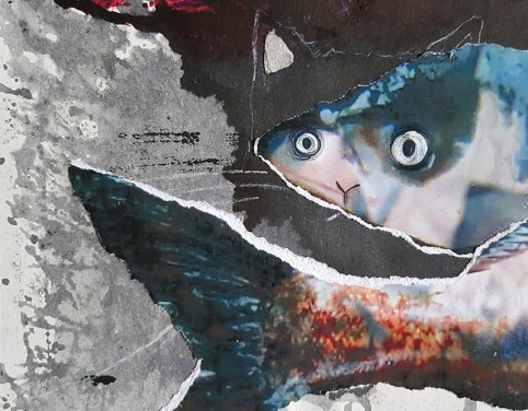 cat and fish